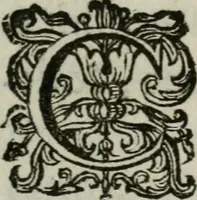 An illustration from Sacrvm sanctvarivm crvcis et patientiae crvcifixorvm et crvciferorvm, emblematicis imaginibvs laborantivm et aegrotantivm ornatvm: artifices gloriosi novae artis bene vivendi et moriendi (1634)