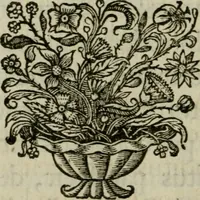 Picture 4 of 43 from Sacrvm sanctvarivm crvcis et patientiae crvcifixorvm et crvciferorvm, emblematicis imaginibvs laborantivm et aegrotantivm ornatvm: artifices gloriosi novae artis bene vivendi et moriendi (1634), leaf 17