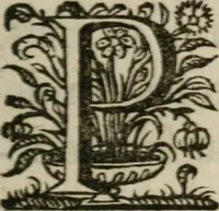 Picture 14 of 43 from Sacrvm sanctvarivm crvcis et patientiae crvcifixorvm et crvciferorvm, emblematicis imaginibvs laborantivm et aegrotantivm ornatvm: artifices gloriosi novae artis bene vivendi et moriendi (1634), leaf 46