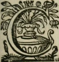 An illustration from Sacrvm sanctvarivm crvcis et patientiae crvcifixorvm et crvciferorvm, emblematicis imaginibvs laborantivm et aegrotantivm ornatvm: artifices gloriosi novae artis bene vivendi et moriendi (1634)