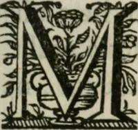 Picture 66 of 74 from Sacrvm sanctvarivm crvcis et patientiae crvcifixorvm et crvciferorvm, emblematicis imaginibvs laborantivm et aegrotantivm ornatvm: artifices gloriosi novae artis bene vivendi et moriendi (1634), leaf 336