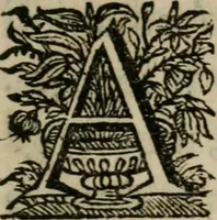 An illustration from Sacrvm sanctvarivm crvcis et patientiae crvcifixorvm et crvciferorvm, emblematicis imaginibvs laborantivm et aegrotantivm ornatvm: artifices gloriosi novae artis bene vivendi et moriendi (1634)