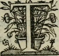 An illustration from Sacrvm sanctvarivm crvcis et patientiae crvcifixorvm et crvciferorvm, emblematicis imaginibvs laborantivm et aegrotantivm ornatvm: artifices gloriosi novae artis bene vivendi et moriendi (1634)