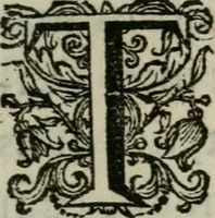 An illustration from Sacrvm sanctvarivm crvcis et patientiae crvcifixorvm et crvciferorvm, emblematicis imaginibvs laborantivm et aegrotantivm ornatvm: artifices gloriosi novae artis bene vivendi et moriendi (1634)