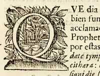 An illustration from Sagrado padron y panegyricos sermones a la memoria debida al sumptuoso magnifico templo, y curiosa basílica del convento de religiosas del glorioso abad San Bernardo, : que edificò en su mayor parte el capitan D. Ioseph de Retes Largache, difu[n]to cavallero del Orden de Santiago, y consumaron en su cabal perfeccion su sobrino don Domingo de Retes, y doña Teresa de Retes y Paz, su hija, en esta dos vezes imperial, y siempre leal ciudad de Mexico, con la pompa funebre de la translacion de sus huessos, que erige en descripcion historica panegyrica, (1691)