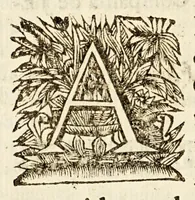 An illustration from Sagrado padron y panegyricos sermones a la memoria debida al sumptuoso magnifico templo, y curiosa basílica del convento de religiosas del glorioso abad San Bernardo, : que edificò en su mayor parte el capitan D. Ioseph de Retes Largache, difu[n]to cavallero del Orden de Santiago, y consumaron en su cabal perfeccion su sobrino don Domingo de Retes, y doña Teresa de Retes y Paz, su hija, en esta dos vezes imperial, y siempre leal ciudad de Mexico, con la pompa funebre de la translacion de sus huessos, que erige en descripcion historica panegyrica, (1691)