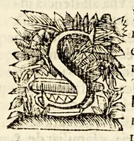An illustration from Sagrado padron y panegyricos sermones a la memoria debida al sumptuoso magnifico templo, y curiosa basílica del convento de religiosas del glorioso abad San Bernardo, : que edificò en su mayor parte el capitan D. Ioseph de Retes Largache, difu[n]to cavallero del Orden de Santiago, y consumaron en su cabal perfeccion su sobrino don Domingo de Retes, y doña Teresa de Retes y Paz, su hija, en esta dos vezes imperial, y siempre leal ciudad de Mexico, con la pompa funebre de la translacion de sus huessos, que erige en descripcion historica panegyrica, (1691)