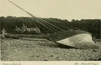 An illustration from The sailing boat, a treatise on sailing boats and small yachts, their varieties of type, sails, rig, etc. With practical directions for sailing and management; also, the one-design and restricted classes, fishing and shooting boats, sailing chariots and ice yachts, foreign and colonial boats, canoes, etc., etc (1901)