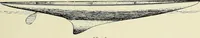 An illustration from The sailing boat, a treatise on sailing boats and small yachts, their varieties of type, sails, rig, etc. With practical directions for sailing and management; also, the one-design and restricted classes, fishing and shooting boats, sailing chariots and ice yachts, foreign and colonial boats, canoes, etc., etc (1901)
