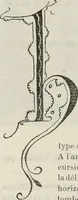 An illustration from Saint-Philibert de Tournus (1905)