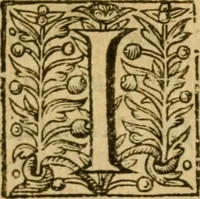 An illustration from The saints advantage : or, The well-fare of the faithfull, in the worst times. A sermon preached at the Hage the 18. of May, before the most high, and mighty Princesse, Elizabeth, by the grace of God, Queene of Bohemia ... (1624)