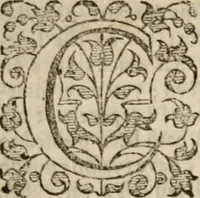 An illustration from The saints everlasting rest; or, A treatise of the blessed state of the saints in their enjoyment of God in glory. Wherein is shewed its excellency and certainty; the misery of those that lose it, the way to attain it, and assurance of it; and how to live in the continual delightful foretasts of it by the help of meditation (1658)