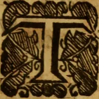 An illustration from The saints everlasting rest .. (1650)