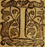 An illustration from The saints everlasting rest .. (1650)