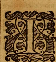 An illustration from The saints everlasting rest .. (1650)
