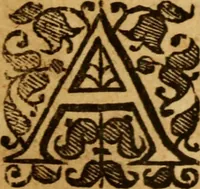 An illustration from The saints everlasting rest .. (1650)