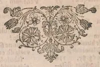 An illustration from Salamandrologia, h.e. Descriptio historico-philologico-philosophico-medica salamandrae quae vulgò in igne vivere creditur : S.R.J. Academiae naturae curiosis exhibita (1683)