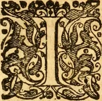 An illustration from Salamandrologia, h.e. Descriptio historico-philologico-philosophico-medica salamandrÃ¦ quÃ¦ vulgÃ² in igne vivere creditur, S.R.J. AcademiÃ¦ naturÃ¦ curiosis exhibita (1683)