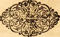 An illustration from Salamandrologia, h.e. Descriptio historico-philologico-philosophico-medica salamandrÃ¦ quÃ¦ vulgÃ² in igne vivere creditur, S.R.J. AcademiÃ¦ naturÃ¦ curiosis exhibita (1683)