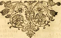 An illustration from Salamandrologia, h.e. Descriptio historico-philologico-philosophico-medica salamandrÃ¦ quÃ¦ vulgÃ² in igne vivere creditur, S.R.J. AcademiÃ¦ naturÃ¦ curiosis exhibita (1683)