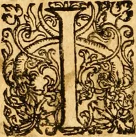 An illustration from Salamandrologia, h.e. Descriptio historico-philologico-philosophico-medica salamandrÃ¦ quÃ¦ vulgÃ² in igne vivere creditur, S.R.J. AcademiÃ¦ naturÃ¦ curiosis exhibita (1683)