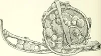 Picture 26 of 201 from Salaminia (Cyprus) : the history, treasures, & antiquities of Salamis in the island of Cyprus (1882), leaf 121