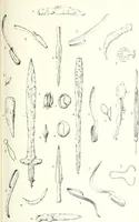 Picture 29 of 201 from Salaminia (Cyprus) : the history, treasures, & antiquities of Salamis in the island of Cyprus (1882), leaf 126