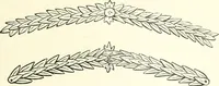 Picture 145 of 201 from Salaminia (Cyprus) : the history, treasures, & antiquities of Salamis in the island of Cyprus (1882), leaf 346