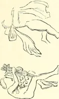 An illustration from Salaminia (Cyprus) : the history, treasures, & antiquities of Salamis in the island of Cyprus (1882)