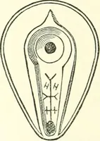 An illustration from Salaminia (Cyprus) : the history, treasures, & antiquities of Salamis in the island of Cyprus (1882)