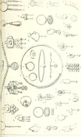 An illustration from Salaminia (Cyprus) : the history, treasures, & antiquities of Salamis in the island of Cyprus (1882)