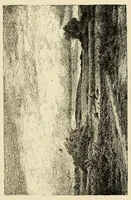An illustration from The Salon; a collection of the choicest paintings recently executed by distinguished European artists .. (1881)