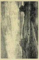 An illustration from The Salon; a collection of the choicest paintings recently executed by distinguished European artists .. (1881)