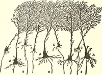 An illustration from Salvation by science (Natural salvation) : immortal life on the earth from the growth of knowledge and the development of the human brain (1913)
