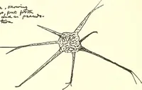 An illustration from Salvation by science (Natural salvation) : immortal life on the earth from the growth of knowledge and the development of the human brain (1913)