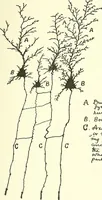An illustration from Salvation by science (Natural salvation) : immortal life on the earth from the growth of knowledge and the development of the human brain (1913)