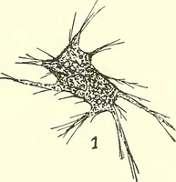 Picture 10 of 15 from Salvation by science (Natural salvation) : immortal life on the earth from the growth of knowledge and the development of the human brain (1913), leaf 76