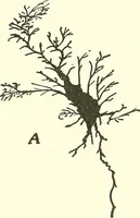 An illustration from Salvation by science (Natural salvation) : immortal life on the earth from the growth of knowledge and the development of the human brain (1913)