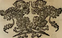 Picture 55 of 102 from Sammlung geist- und sinnreicher Gedancken uber verschiedene aus der Natur, Kunst, und Wissenschafften vorgestellte Sinn-Bilder : durch alle Gattungen der Hoch-Teutschen Reim-Kunst, theils zur Jugendsamen Lehr, und nutzlicher Gemüths-Ergötzung, theils zur angenehmen Gesang (1749), leaf 119
