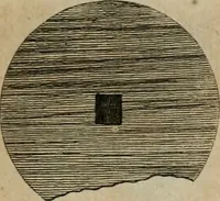 Picture 28 of 139 from Sammlung von Aegyptischen, Hetrurischen, Griechischen und Romischen Alterthümern (1766), leaf 120