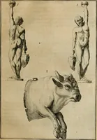 An illustration from Sammlung von Aegyptischen, Hetrurischen, Griechischen und Romischen Alterthümern (1766)