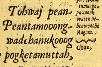 An illustration from Sampwutteahae quinnuppekompauaenin. : Wahuwômook oggussemesuog sampwutteabáe wunnamptamwaenuog, (1689)