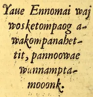 An illustration from Sampwutteahae quinnuppekompauaenin. : Wahuwômook oggussemesuog sampwutteabáe wunnamptamwaenuog, (1689)