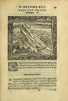 An illustration from Sancti patris nostri Epiphanii episcopi Constantiae Cypri ad Physiologum, eiusdem in die festo palmarum sermo (1587)