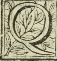 An illustration from Sanctuarium Capuanum : opus in quo sacrae res Capuae, et per occasionem plura, tam ad diversas civitates regni pertinentia, quàm per se curiosa continentur (1630)