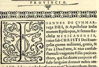 An illustration from Sanctum prouinciale concilium Mexici celebratum anno D[omi]ni millessmo. quingentessmo. octuagessimo quinto. : Praesidente in eo Illmo. ac Rmo. D. D. Petro Moya de Contreras Archiepo. Mexicano. Romae confirmatum die vigessima septima Octobris anno. 1589. Nunc vero ad instantiam et ex sumptibus Illmi. ac Rmi. D. D. Ioannis de la Serna Archiep. Mexican. iussu regio editum (1622)