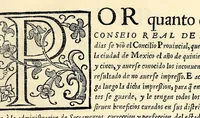 An illustration from Sanctum prouinciale concilium Mexici celebratum anno D[omi]ni millessmo. quingentessmo. octuagessimo quinto. : Praesidente in eo Illmo. ac Rmo. D. D. Petro Moya de Contreras Archiepo. Mexicano. Romae confirmatum die vigessima septima Octobris anno. 1589. Nunc vero ad instantiam et ex sumptibus Illmi. ac Rmi. D. D. Ioannis de la Serna Archiep. Mexican. iussu regio editum (1622)