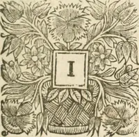 Picture 11 of 65 from Sandys Travels: containing an history of the original and present state of the Turkish empire ... the Mahometan religion and ceremonies. A description of Constantinople ... also, of Greece ... Of Ægypt ... A description of the Holy-Land ... Lastly, Italy described, and the islands adjoining. Illustrated with fifty graven maps and figures (1673), leaf 18