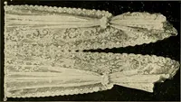 An illustration from Sanitary Manufacturing Company ... rugs and art squares, lace curtains and upholstery goods. (1904)