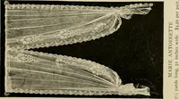 An illustration from Sanitary Manufacturing Company ... rugs and art squares, lace curtains and upholstery goods. (1904)